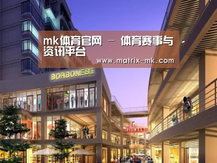 案例展示一(图1)