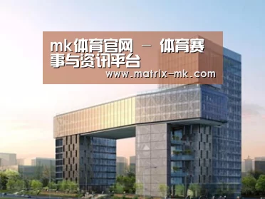 案例展示四