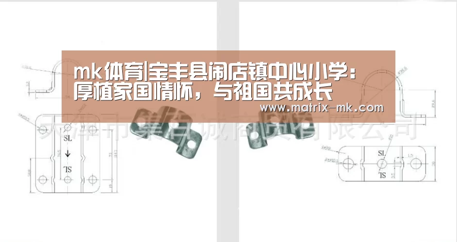 mk体育|宝丰县闹店镇中心小学:厚植家国情怀,与祖国共成长(图1) mk体育app