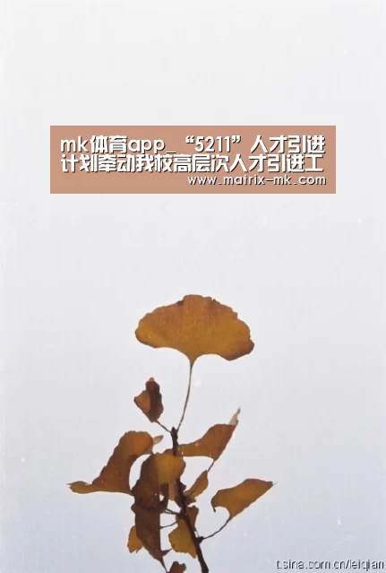 mk体育app