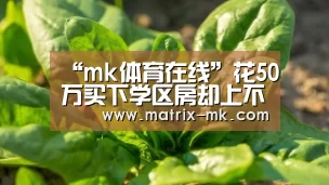 mk体育在线