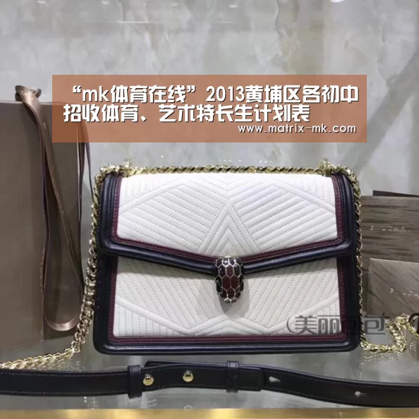 “mk体育在线”2013黄埔区各初中招收体育、艺术特长生计划表(图2) mk体育