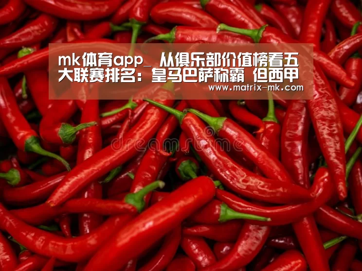 mk体育app